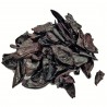 OrgoNutri Wet Kokum Rinds, Aamsul, Sour Kokum (Garcinia Indica), 100g