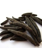 OrgoNutri Dried Kapok Buds, Marathi Moggu, 100g, Premium Quality
