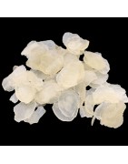 OrgoNutri Snow Lotus Seeds, Saponin Rice, zào jiǎo mǐ (xuě lián zǐ), 100g for Nourishing Beauty