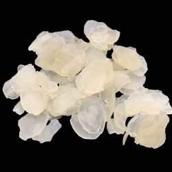 OrgoNutri Snow Lotus Seeds,...