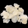 OrgoNutri Snow Lotus Seeds, Saponin Rice, zào jiǎo mǐ (xuě lián zǐ), 100g for Nourishing Beauty