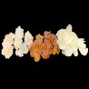 OrgoNutri Collagen Pack of Snow Lotus Seed, Gum Tragacanth, Peach Gum