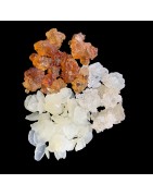 OrgoNutri Collagen Pack of Snow Lotus Seed, Gum Tragacanth, Peach Gum
