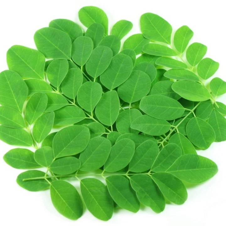 Orgonutri Moringa Leaf Powder (Pure and Natural) 100g