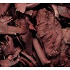 OrgoNutri Dried Lithospermum Root, Zǐ cǎo, Alkanet Root, Ratanjot, 50g